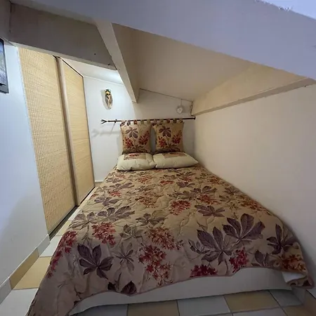 アパート 4 Pers, Piscine, Parking, Climatise, Proche Plage, Salle De Sport Et Commodites - Fr-1-723-136 アグド